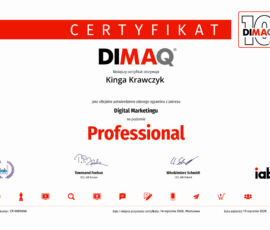 DIMAQ Professional DIMAQ Professional